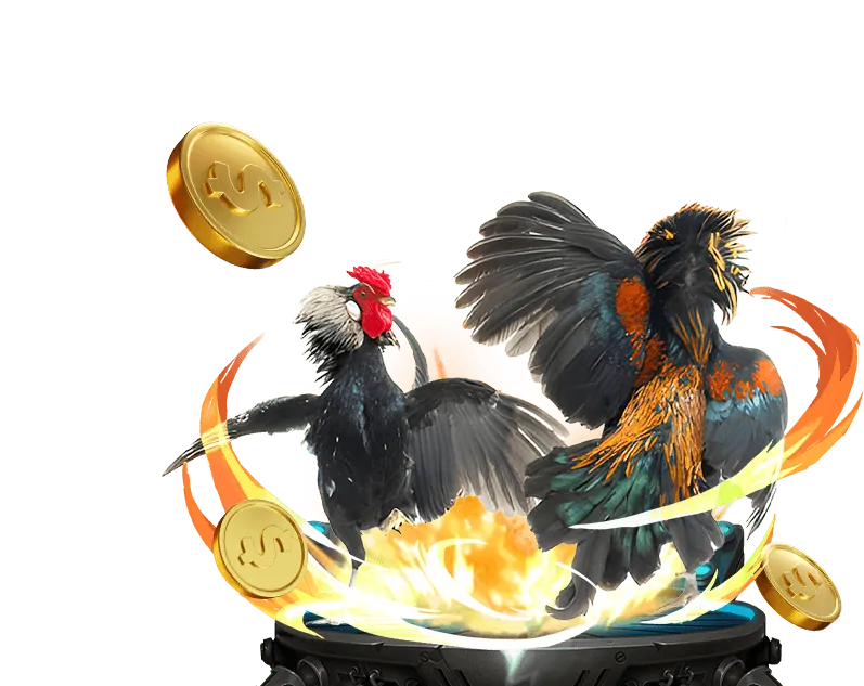 Các sự kiện và giải đấu đặc biệt